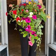 summer hanging basket